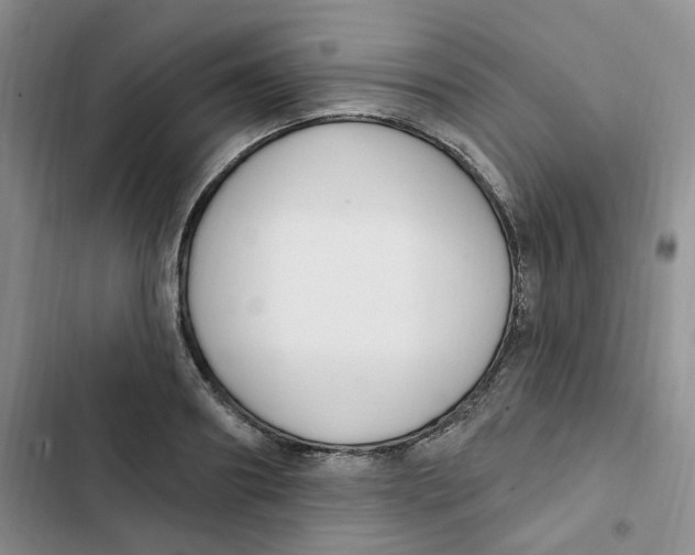 X0000102810890200809150949