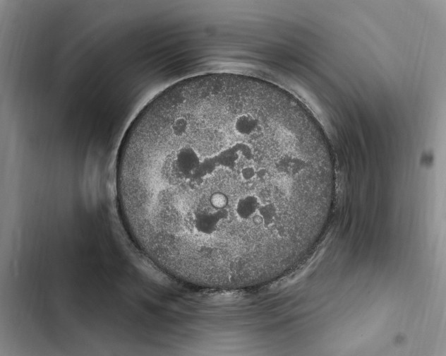 X0000102810891200809150949