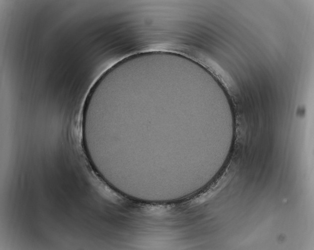 X0000102810892200809150949