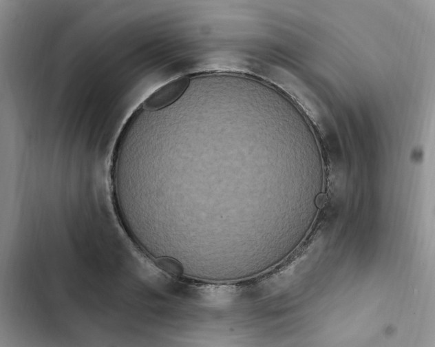 X0000102810893200809150949