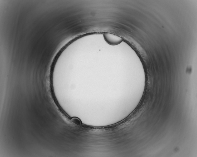 X0000102810894200809150949