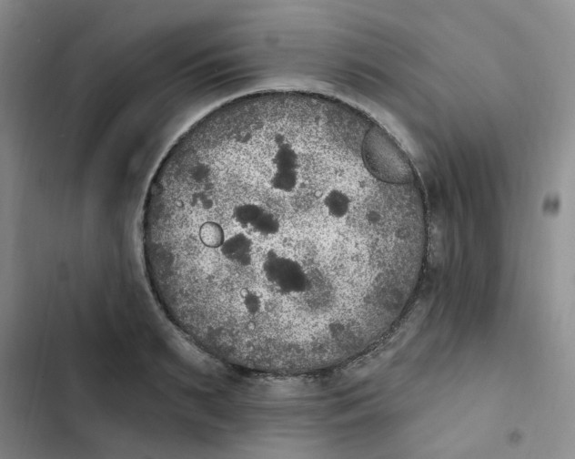 X0000102810895200809150949