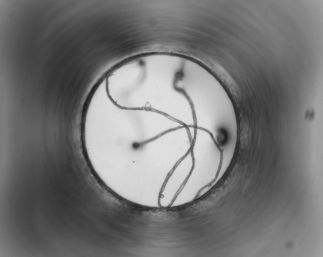 X0000102810896200809150949