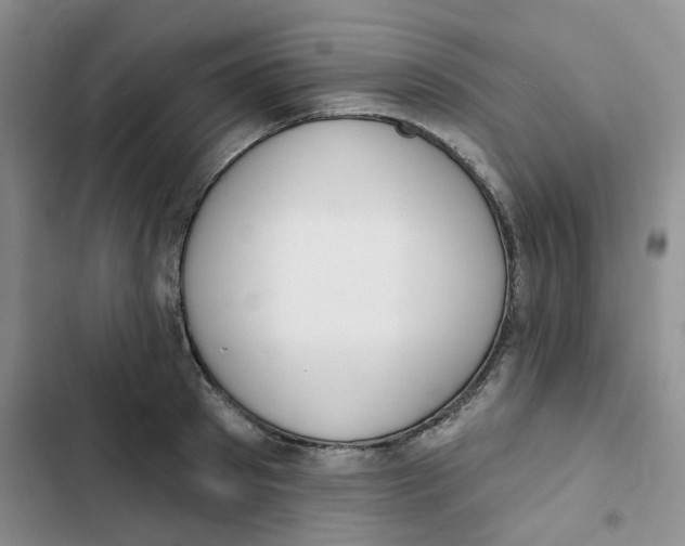 X0000102810897200809150949