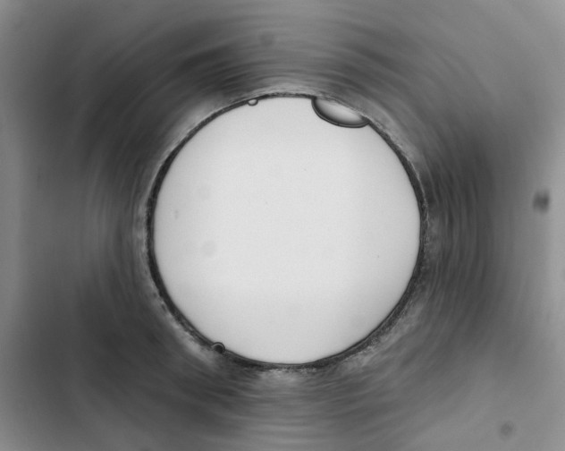 X0000102810898200809150949