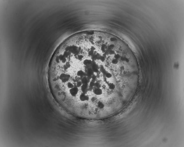 X0000102810899200809150949