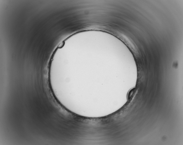 X0000102810900200809150949