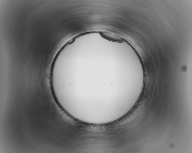 X0000102810901200809150949