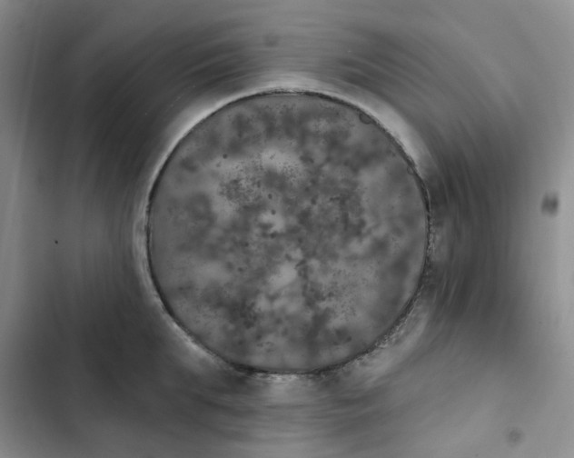 X0000102810903200809150949