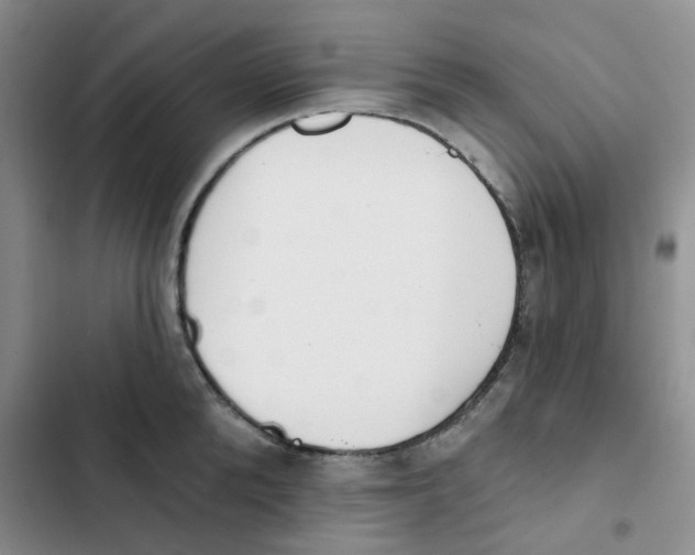 X0000102810904200809150949