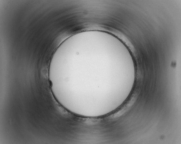 X0000102810905200809150949