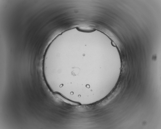 X0000102810906200809150949