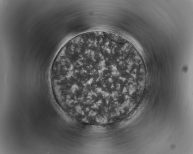 X0000102810907200809150949