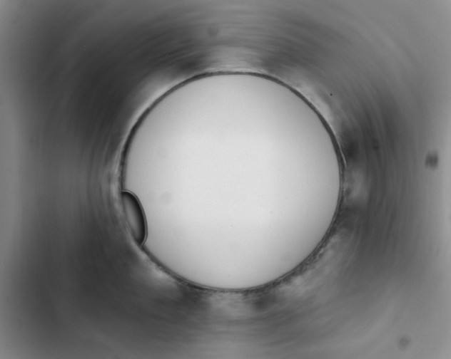 X0000102810909200809150949