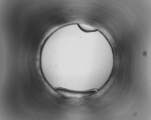 X0000102810910200809150949