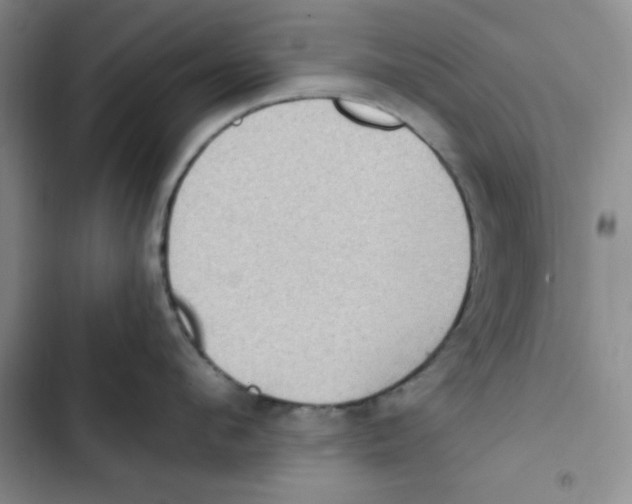 X0000102810912200809150949