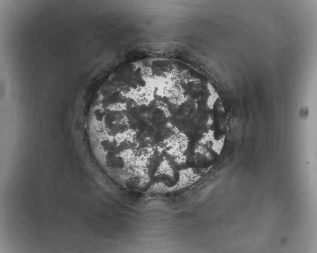 X0000102810913200809150948