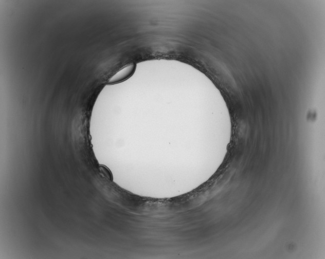 X0000102810914200809150948