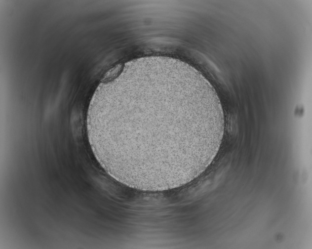 X0000102810915200809150948