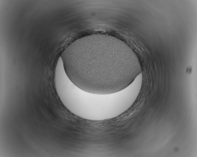 X0000102810916200809150948