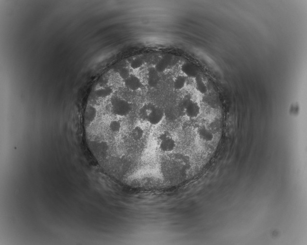 X0000102810917200809150948