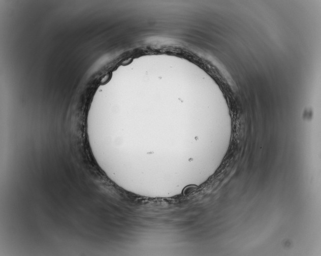 X0000102810919200809150948