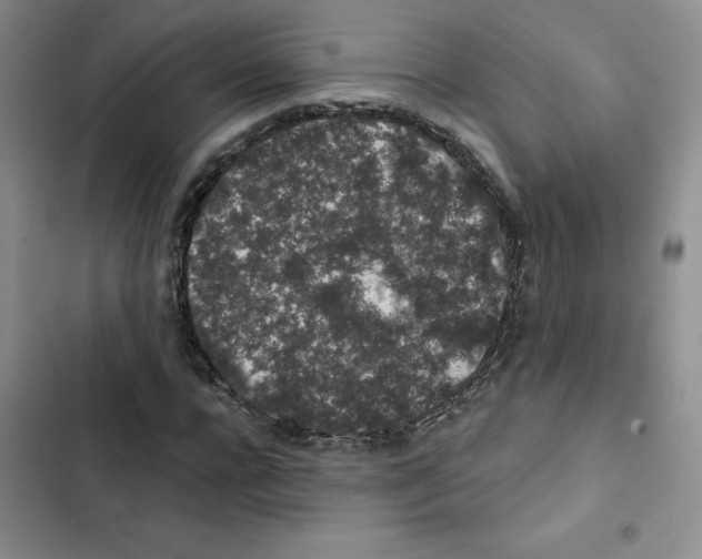 X0000102810920200809150948