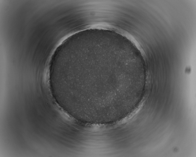 X0000102810923200809150948