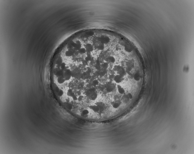 X0000102810925200809150948