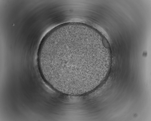 X0000102810928200809150948