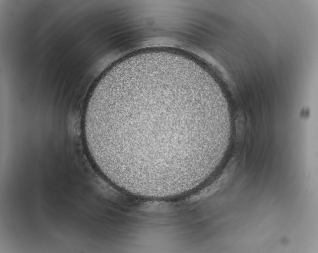 X0000102810929200809150948