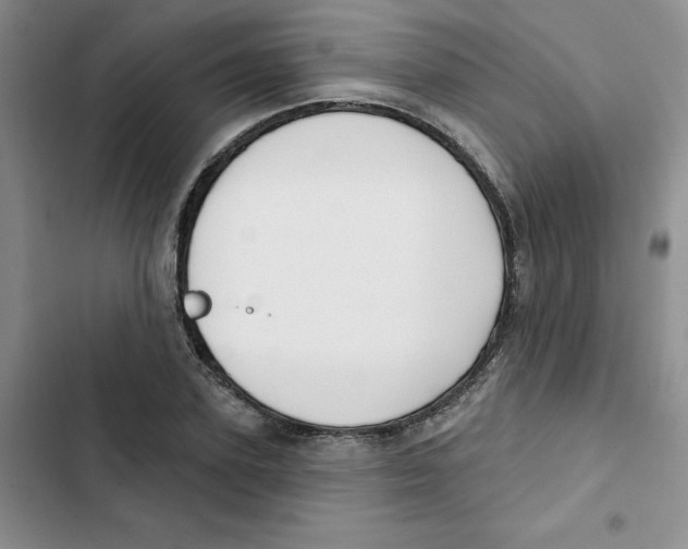 X0000102810931200809150948