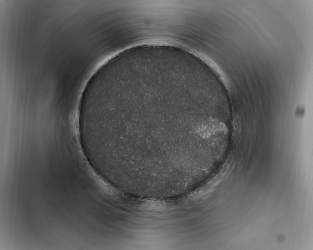 X0000102810935200809150948