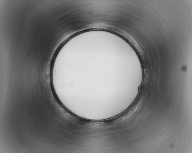 X0000102810939200809150948