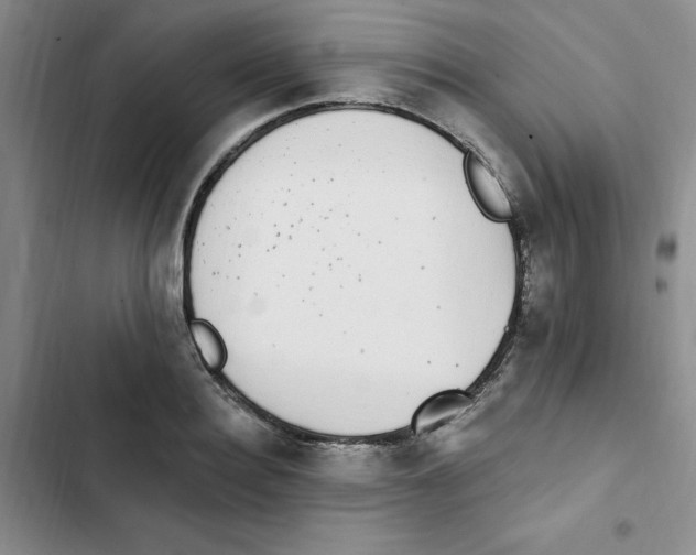 X0000102810940200809150948