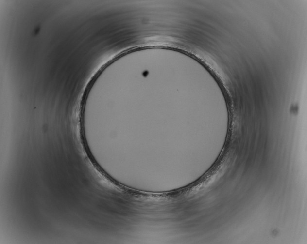 X0000102810941200809150948