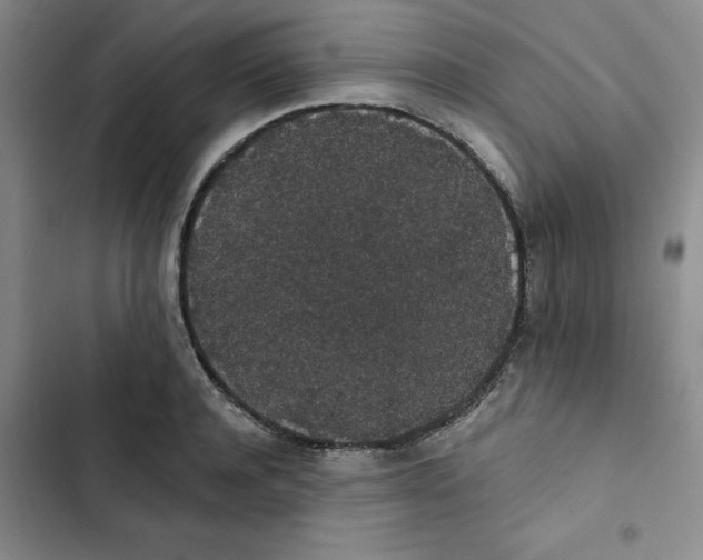 X0000102810944200809150948