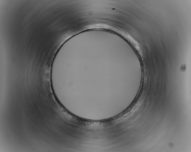 X0000102810945200809150948