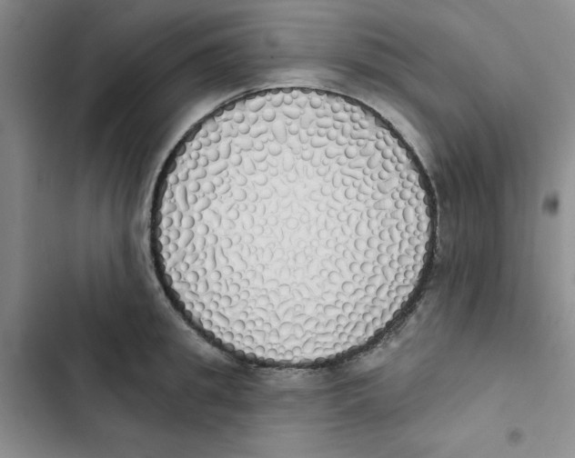 X0000102810949200809150948