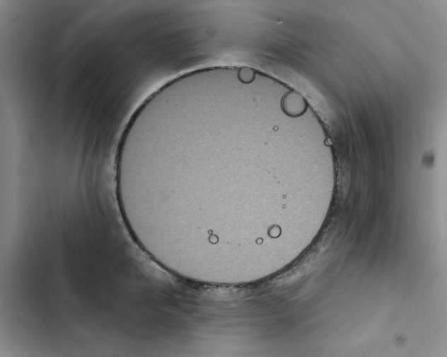 X0000102810950200809150948