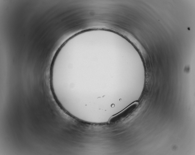 X0000102810951200809150948