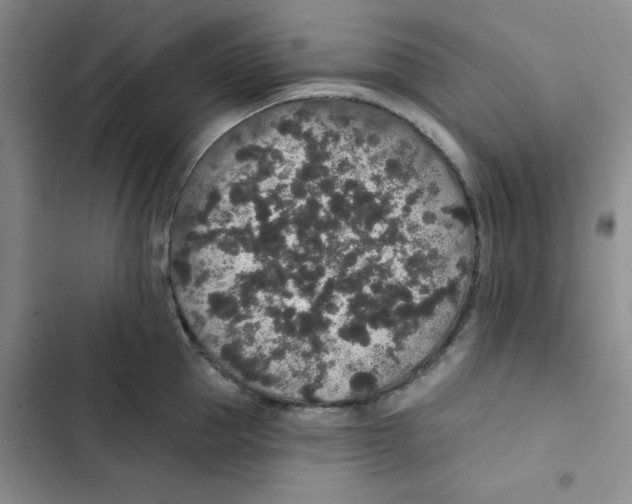 X0000102810953200809150949