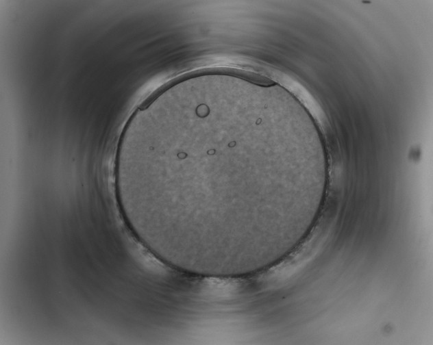 X0000102810954200809150949