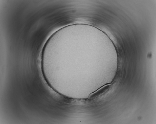 X0000102810955200809150949