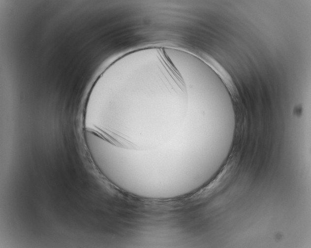 X0000102810956200809150949