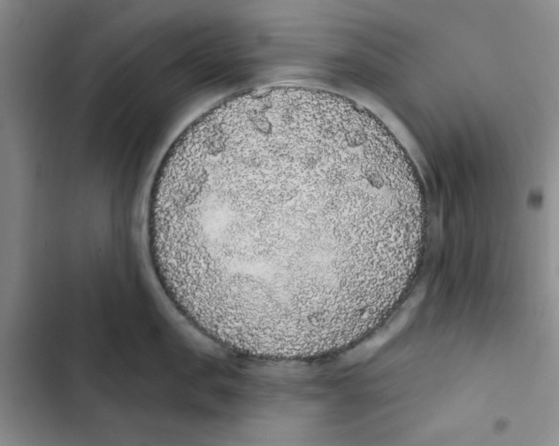 X0000102810957200809150949