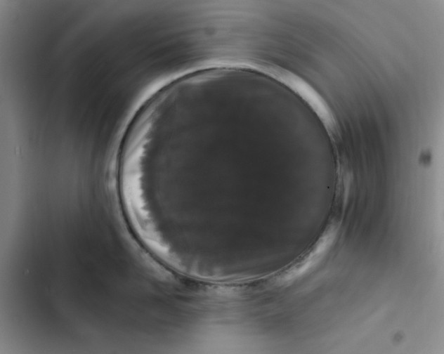 X0000102810958200809150949