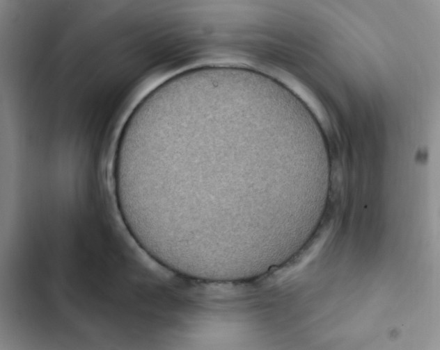 X0000102810959200809150949