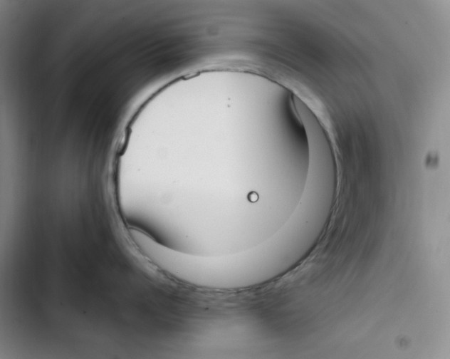 X0000102810960200809150949