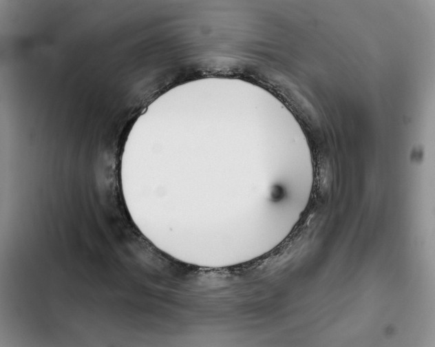 X0000102810964200809150948